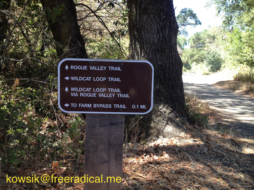 Rogue Valley Trail