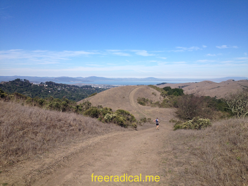 Down Into Wildcat Canyon