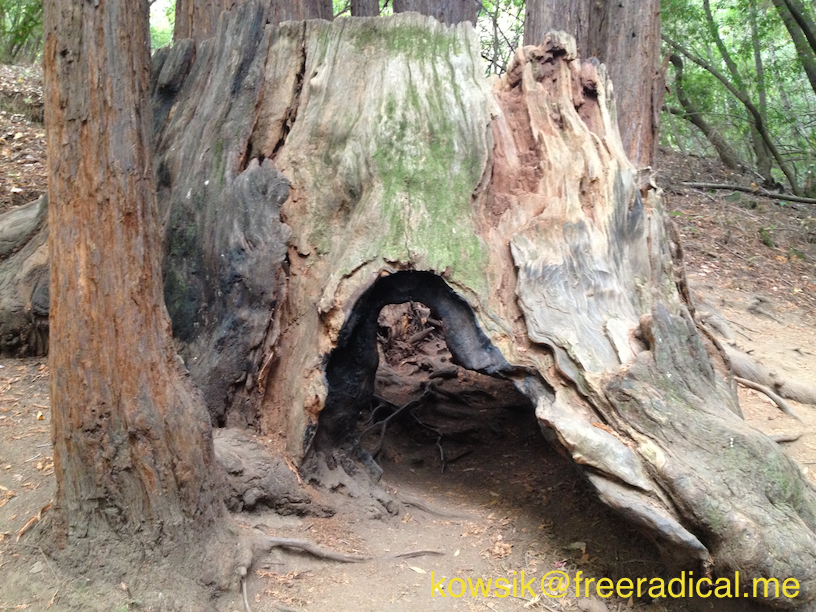 Redwood Cave