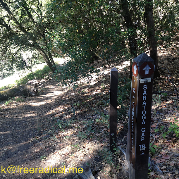 Ridge Trail to Campground