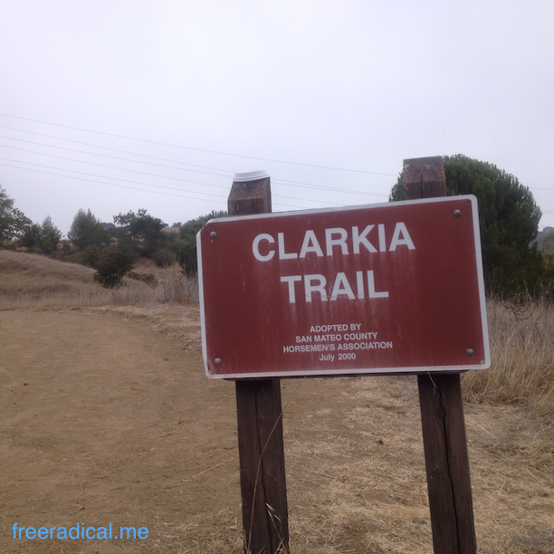 Start of Clarkia Trail