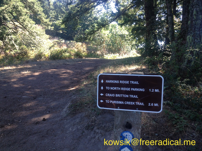 Start of Harkins Ridge Trail