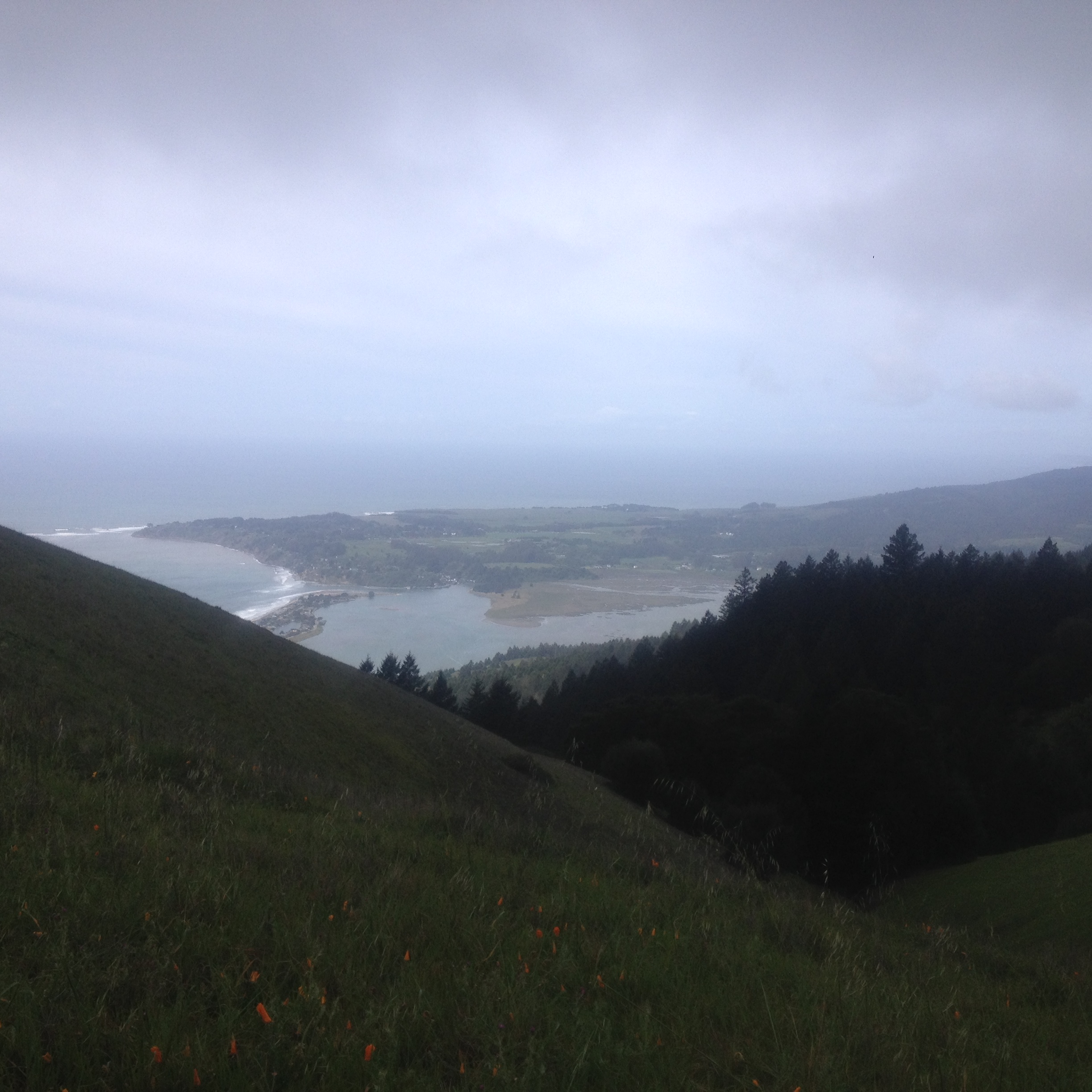 Stinson Beach, Another Perspective