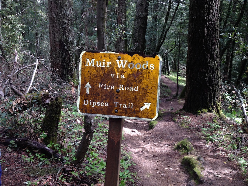 Miwok Trail