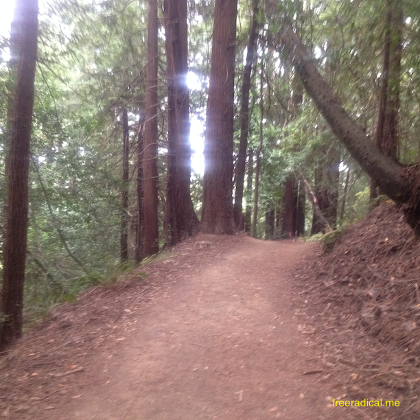 Soft Single Track on French Trail