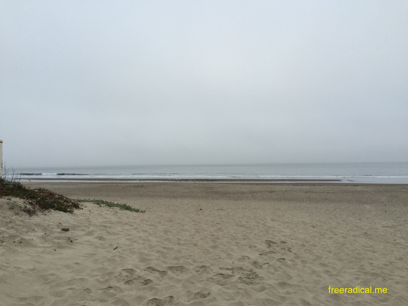 Foggy Stinson Beach